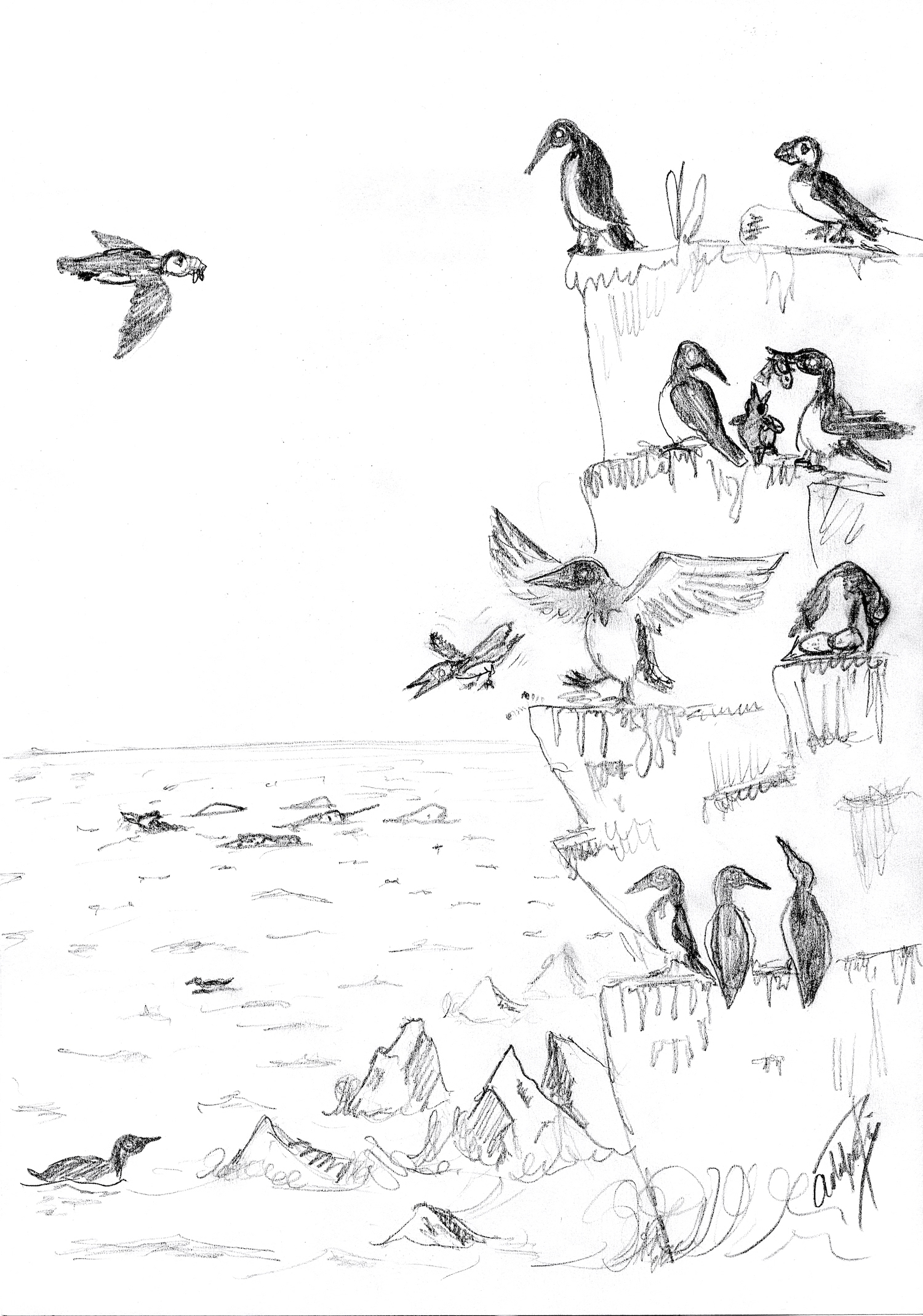 rysunek ptaków na klifie