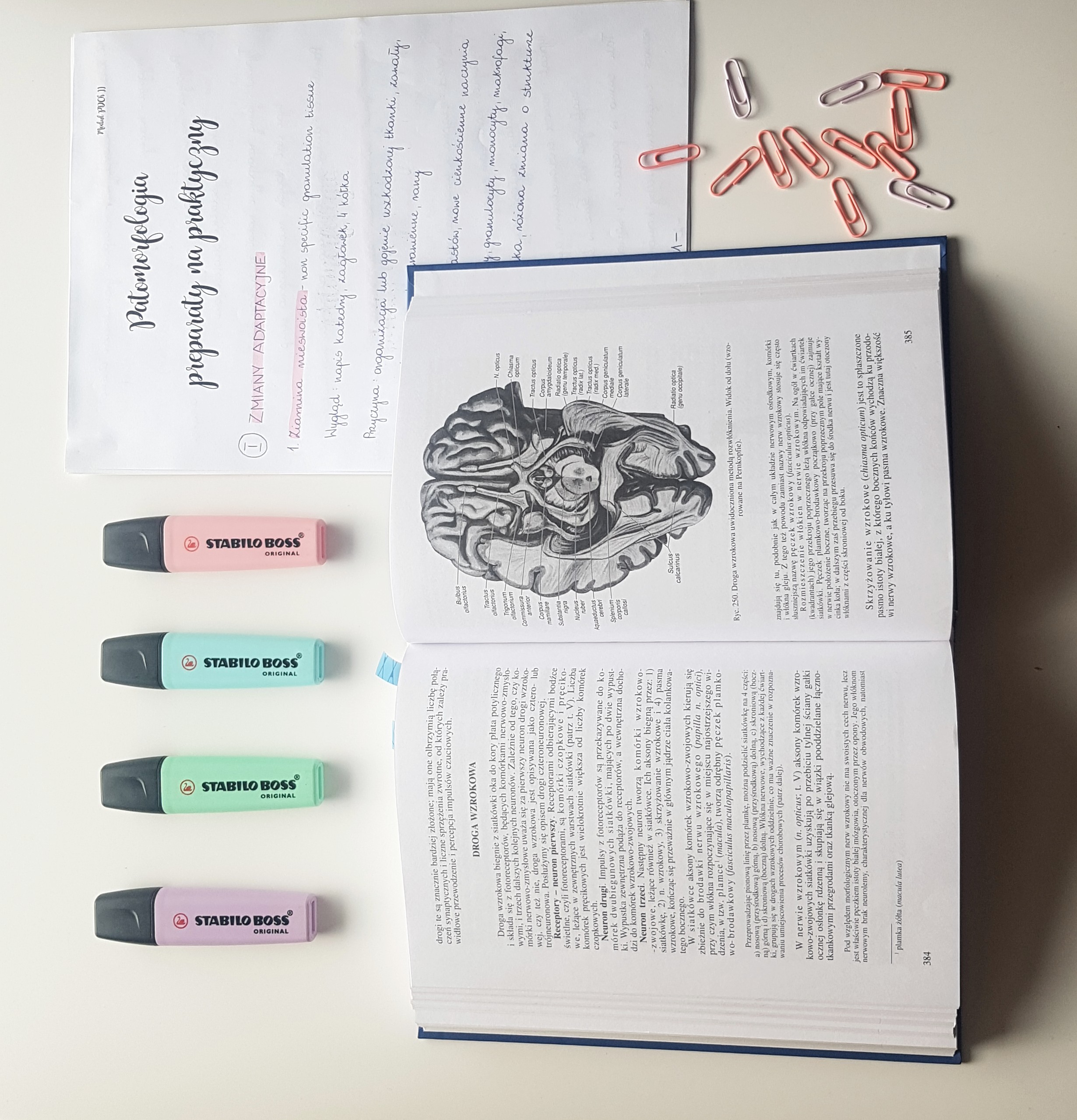 Idealne zestaw do nauki z Instagrama: książka, staranne notatki, kolorowe zakreślacze