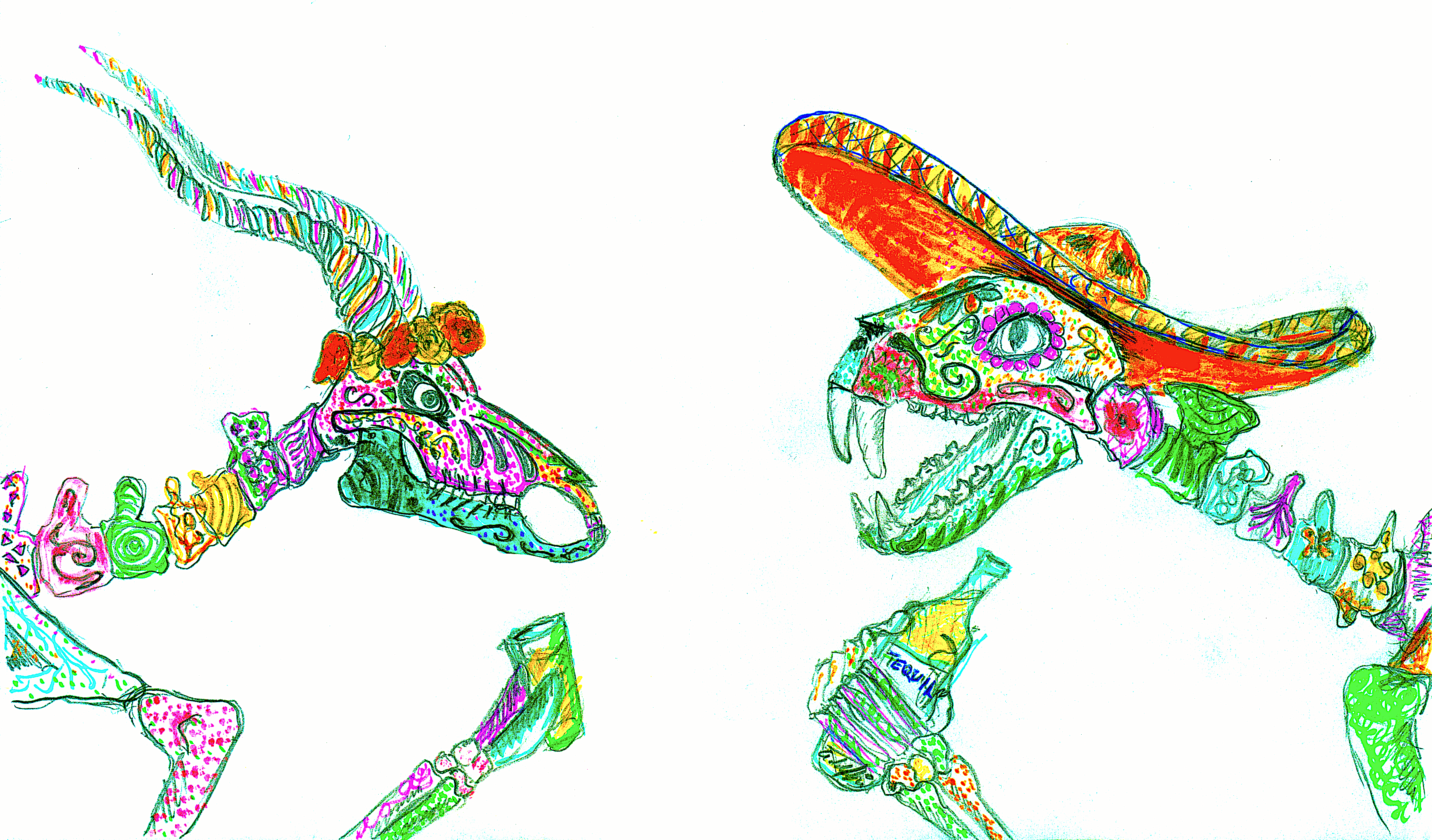 A drawing by professor Adolfo Rivero Müller where two skeleton animals are drawn in dia de los muertos style and drink tequila