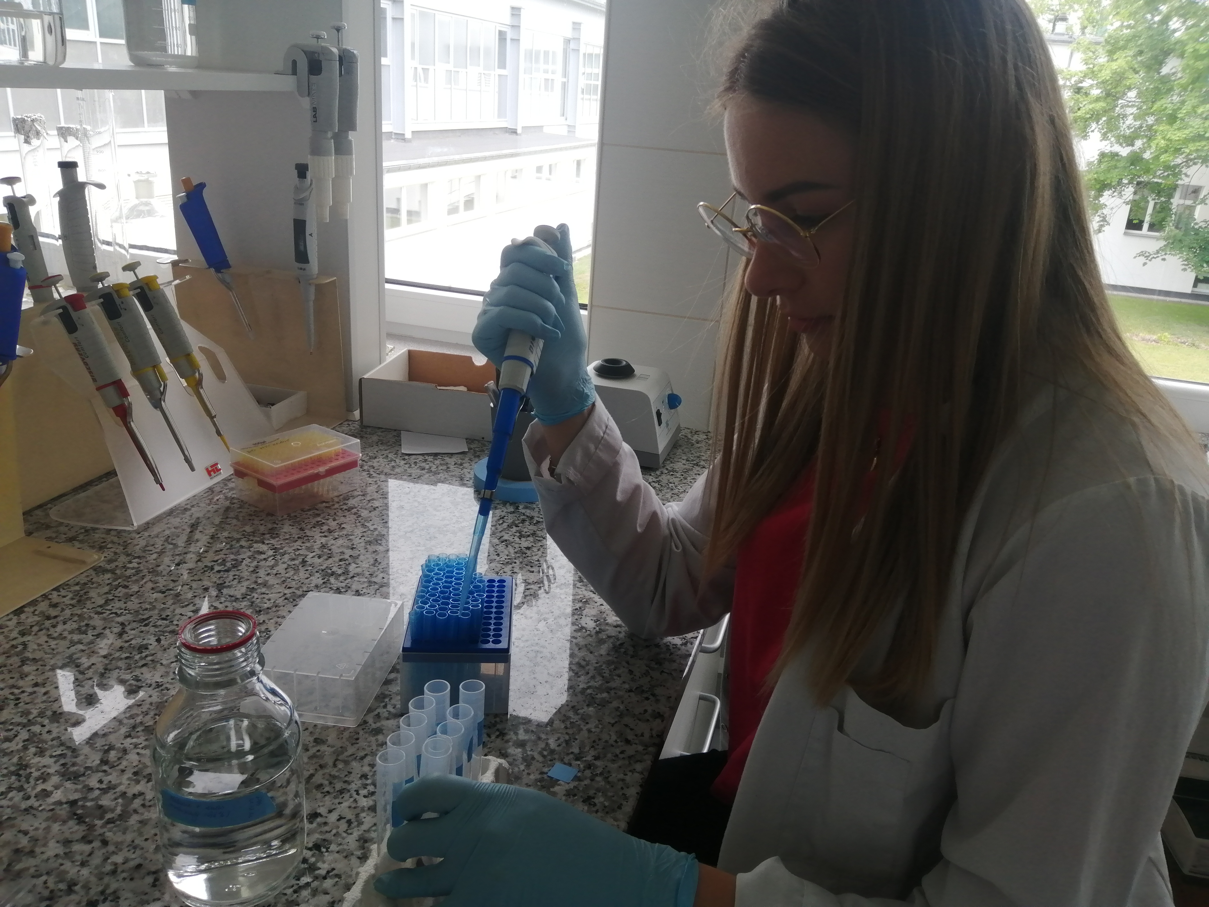 Studentka pracuje w laboratorium, pipetą nalewa substancję do probówek.