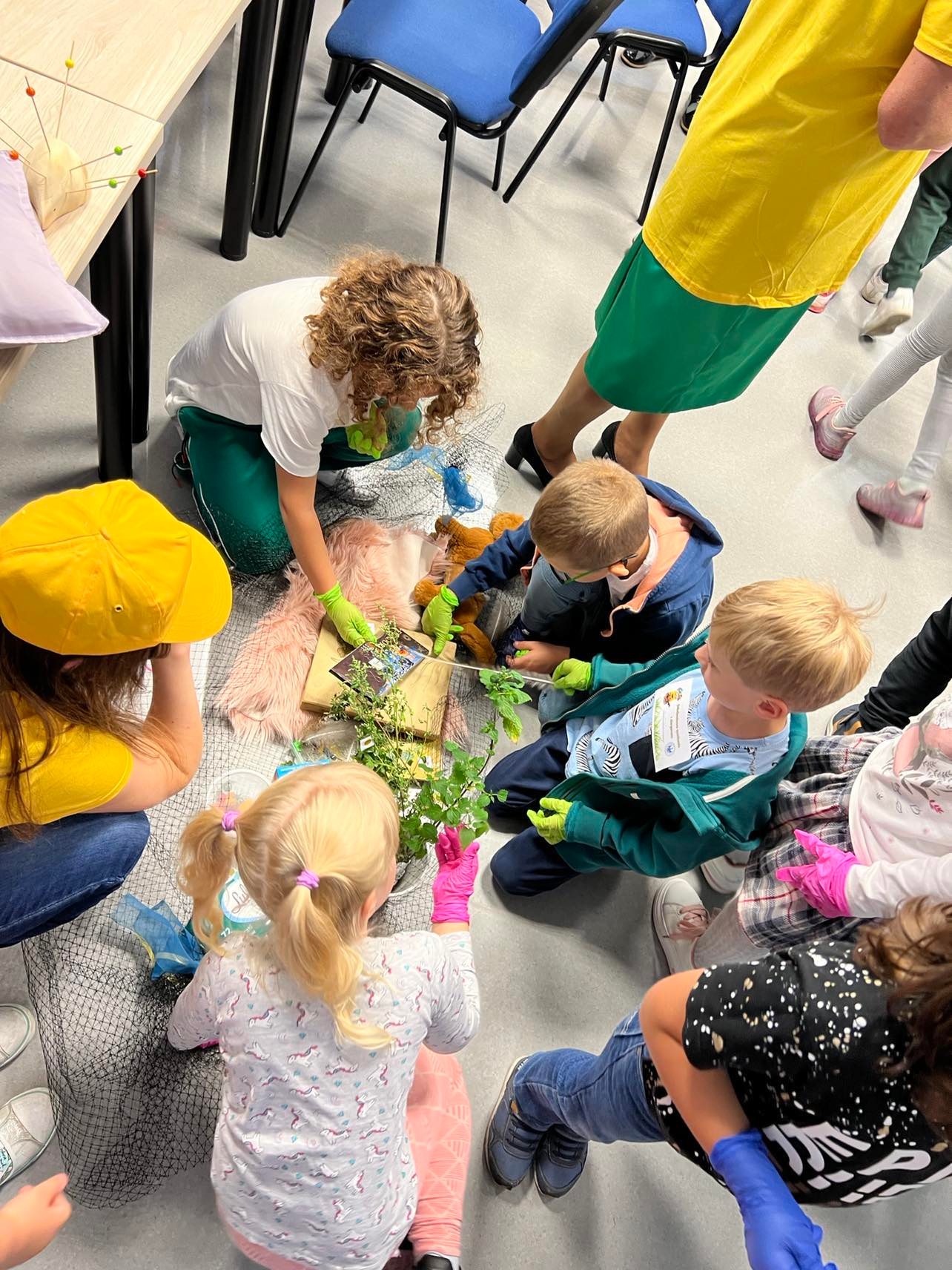 Dzieci w towarzystwie prowadzących zajęcia zapoznają się z rośliną