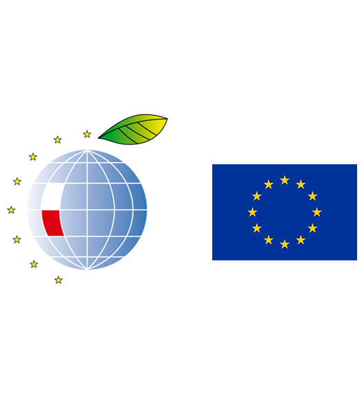 znak graficzny Forum Ekonomicznego i Unii Europejskiej