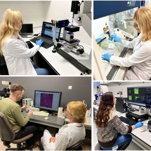 foto Inteligentne biomateriały aktywowane polem magnetycznym oraz zimną plazmą atmosferyczną