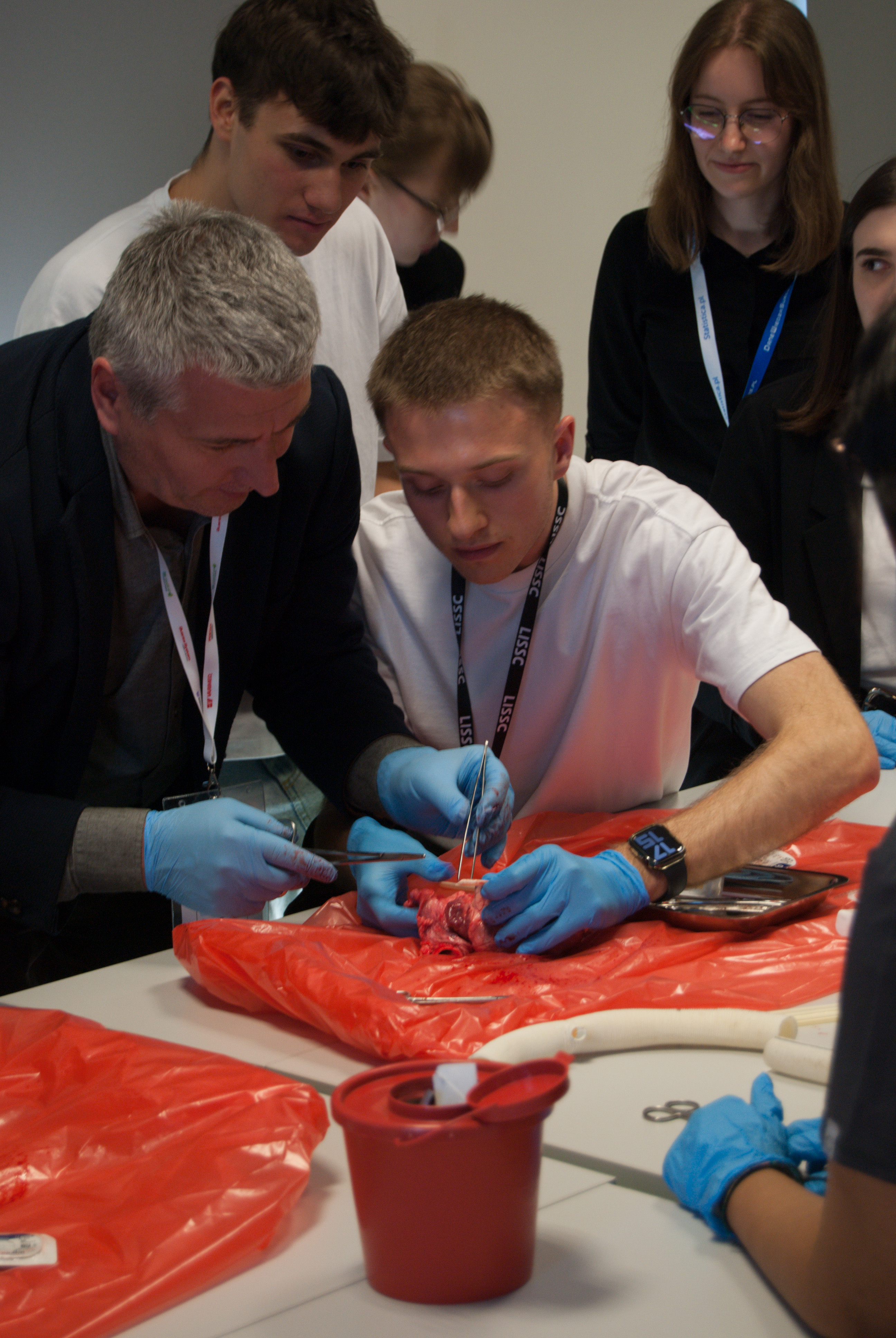 nauczyciel i uczeń ćwiczą szycie chirurgiczne na nodze świni