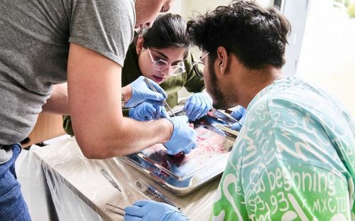 Uczestnicy podczas warsztatów