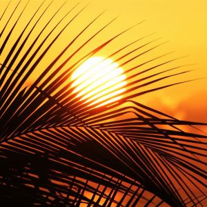 foto Fotostarzenie, jak się przed nim chronić