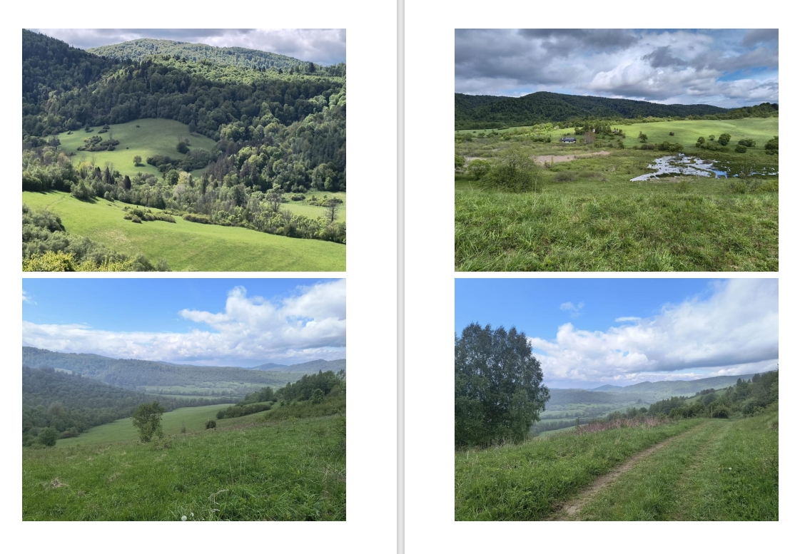 dolina Krywego, na 4 zdjęciach są krajobrazy z doliny